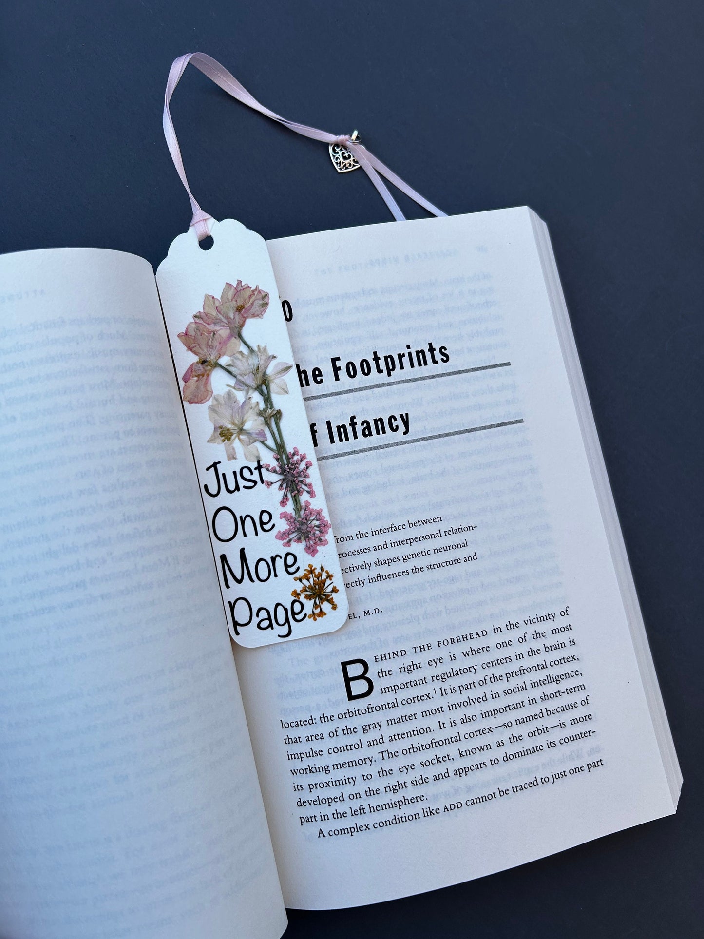 Book Lover’s Delight Bundle: Cozy Moments with Every Chapter